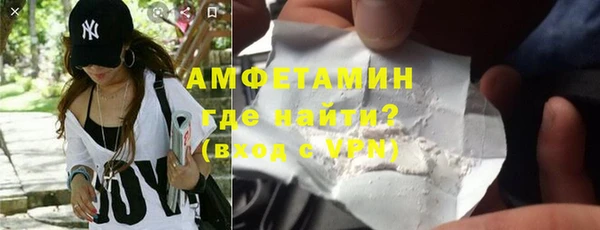 сатива Няндома