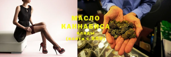 сатива Няндома