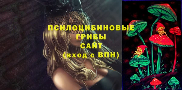 сатива Няндома