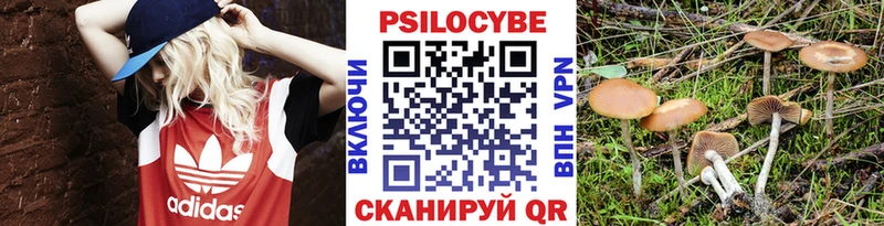 даркнет состав  даркнет сайт  Мценск  Галлюциногенные грибы ЛСД 